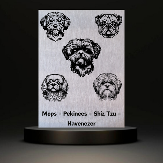 Waakbord Kant en klaar Mops & Pekinees & Shiz Tzu & Havenezer