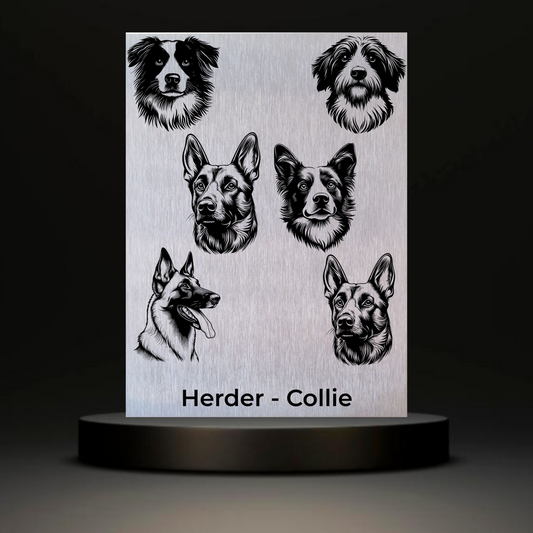 Waakbord Kant en klaar Herder & Collie