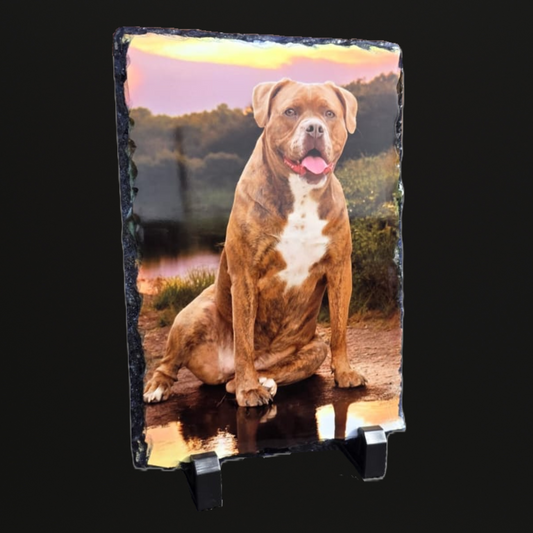 Foto op Leisteen 15x20