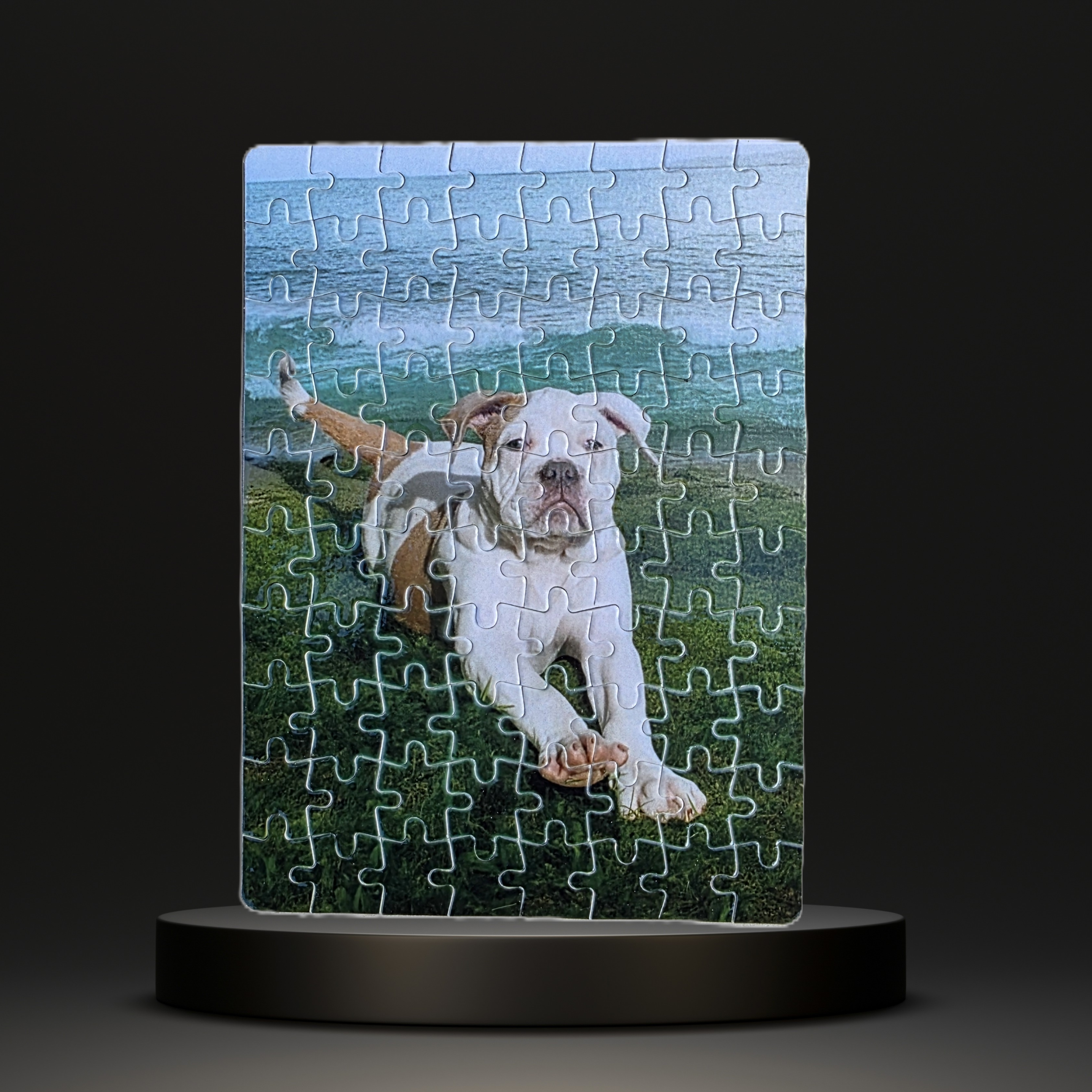 Puzzel met Eigen Foto