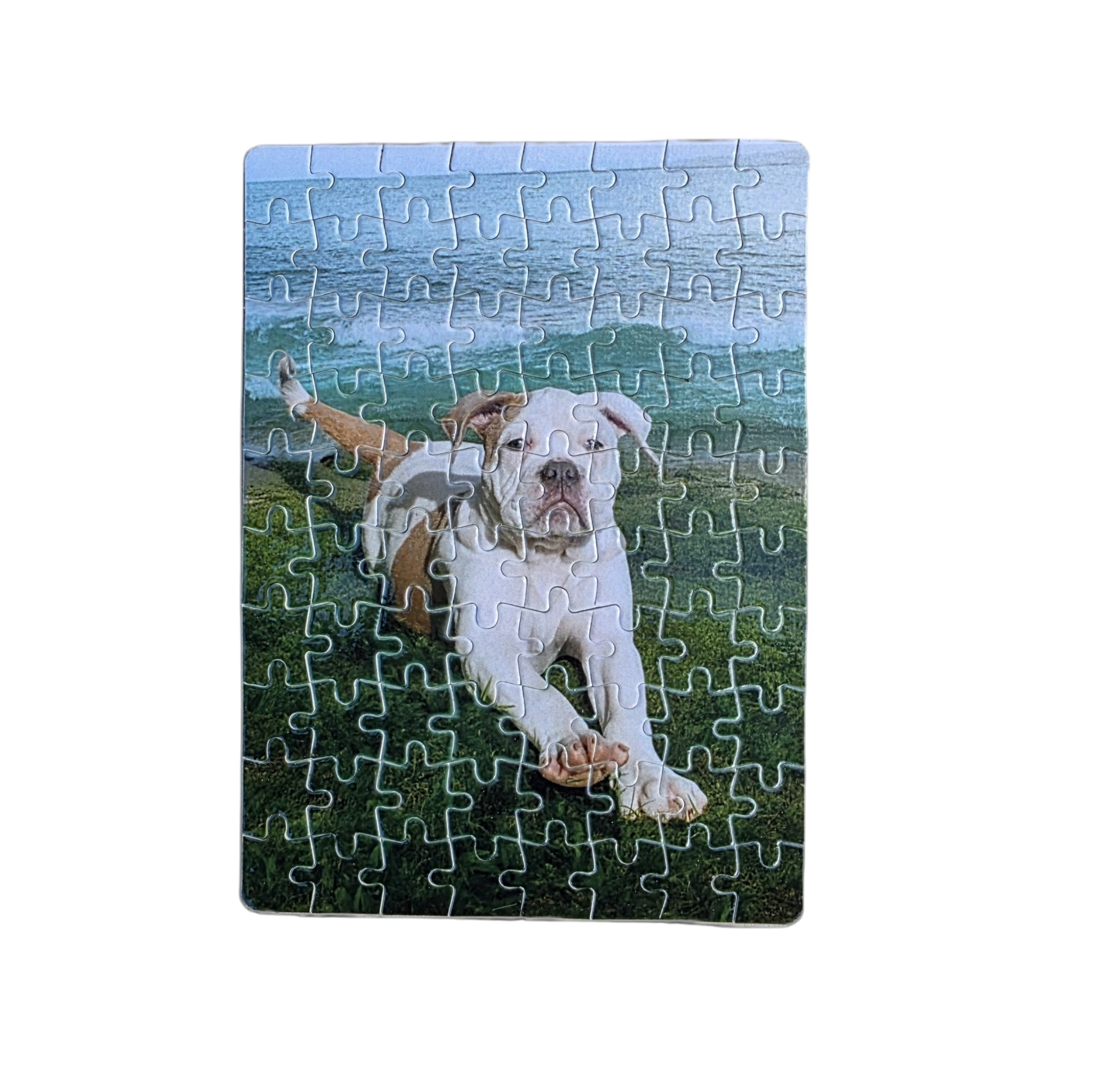 Puzzel met Eigen Foto