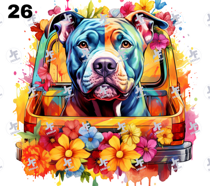 Mok Hond Bully's - Bulldogs