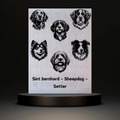 Waakbord Kant en klaar Sint bernhard & Sheepdog & Setter
