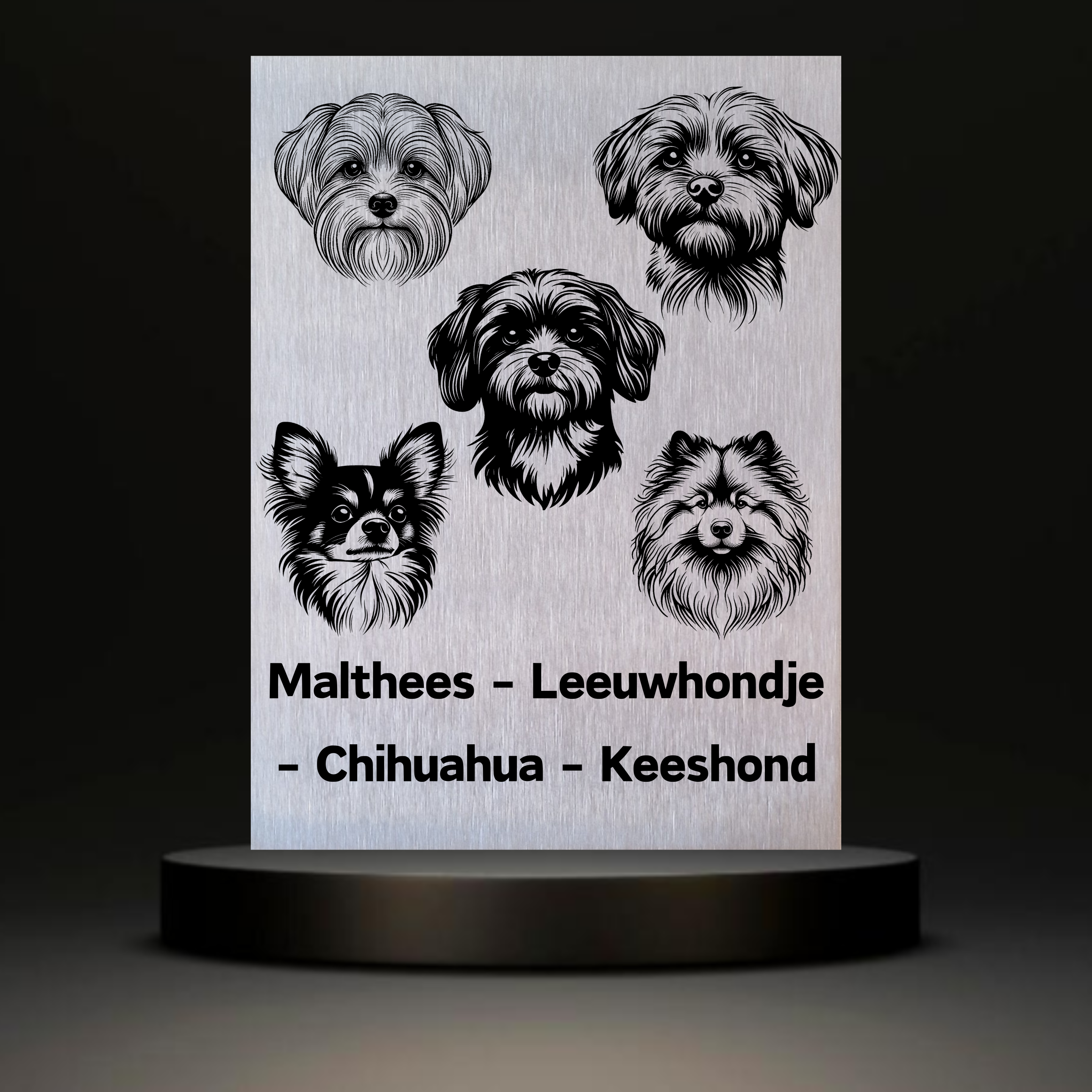Waakbord Kant en klaar Malthees & Leeuwhondje & Chihuahua & Keeshond
