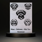 Waakbord Kant en klaar Mops & Pekinees & Shiz Tzu & Havenezer