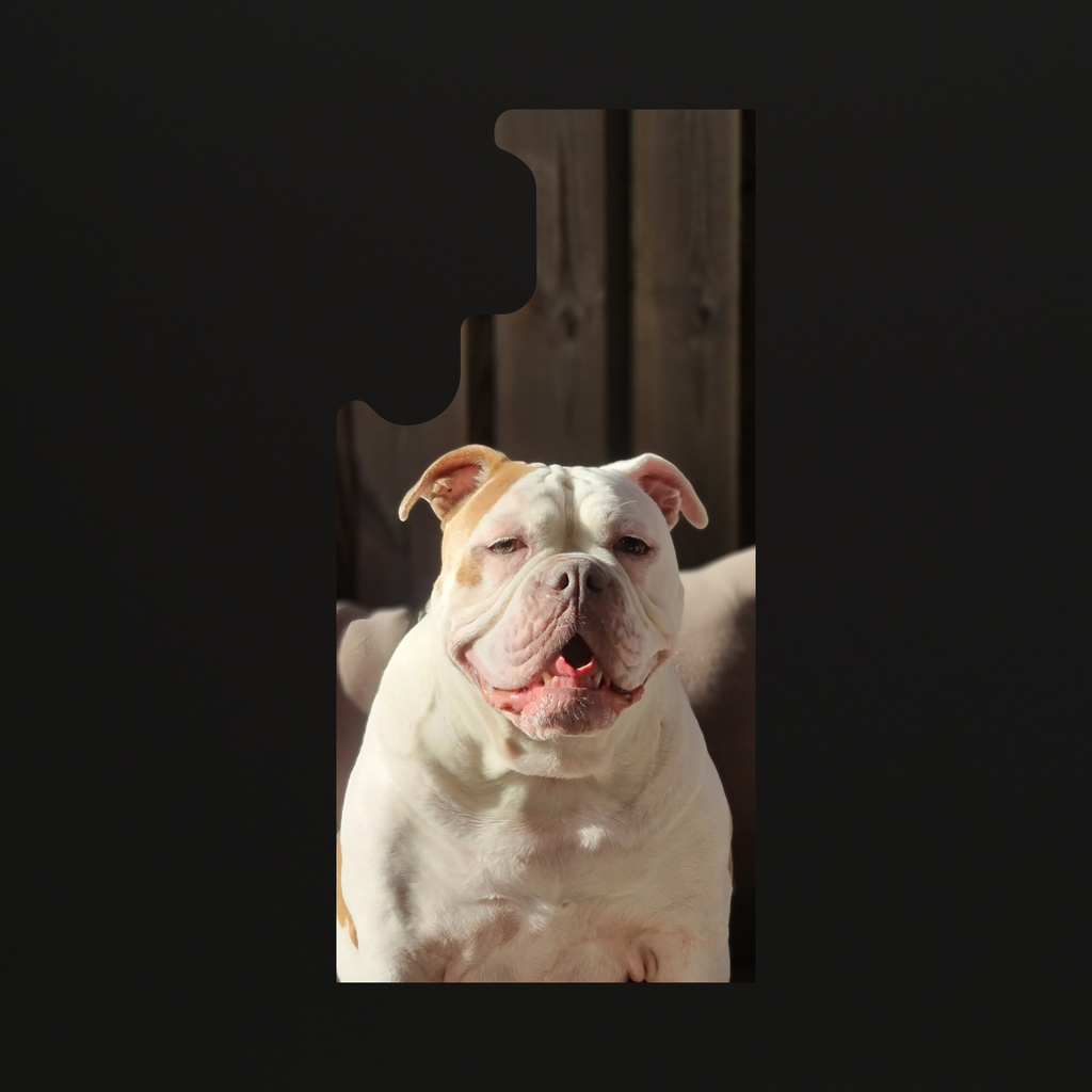 Samsung Telefoonhoesje met eigen foto