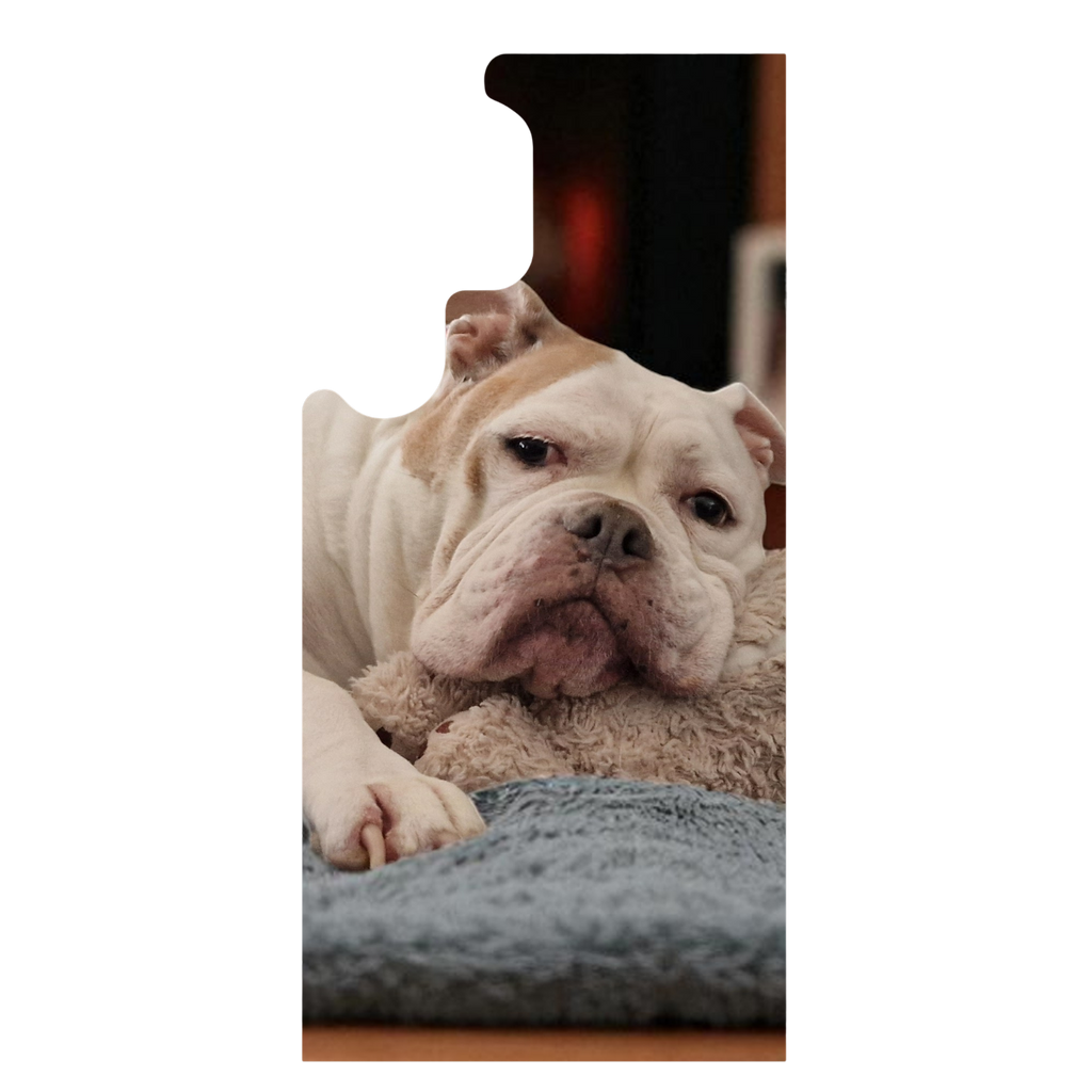 Samsung Telefoonhoesje met eigen foto