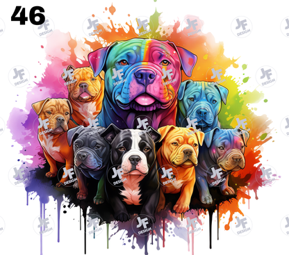 Mok Hond Bully's - Bulldogs