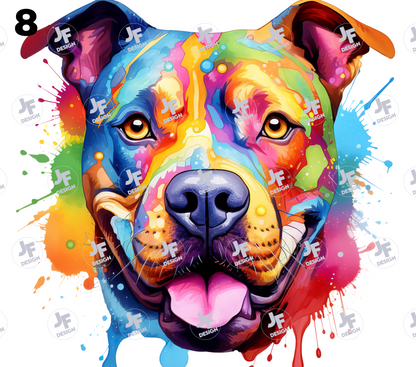 Mok Hond Bully's - Bulldogs
