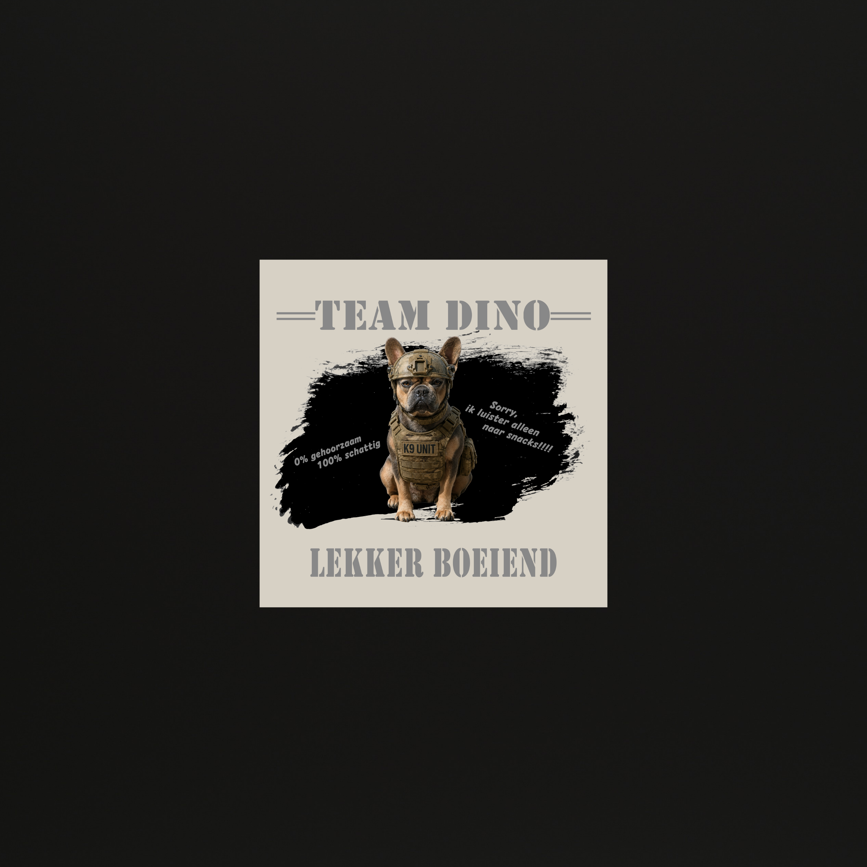 LGS Denise Team Dino magneet Army