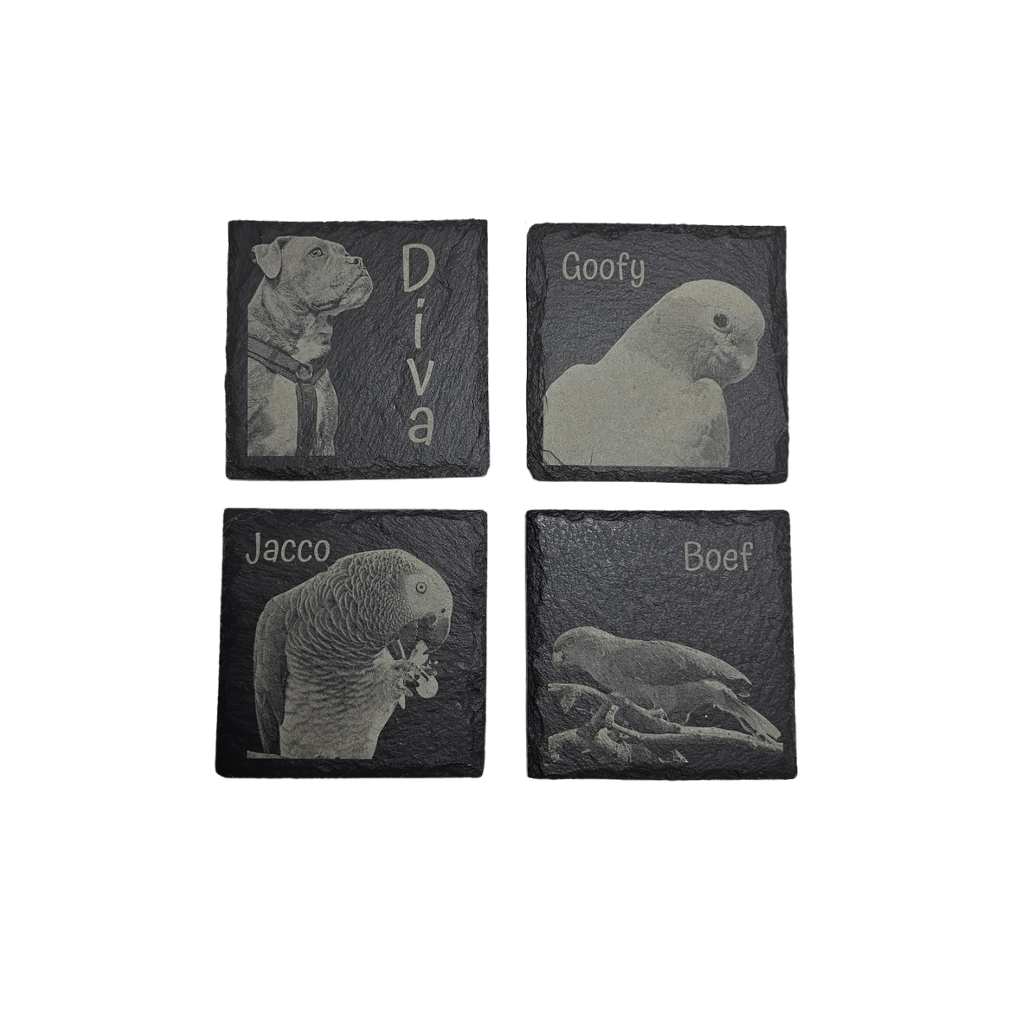 Leisteen Onderzetters