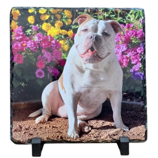 Foto op Leisteen 20x20