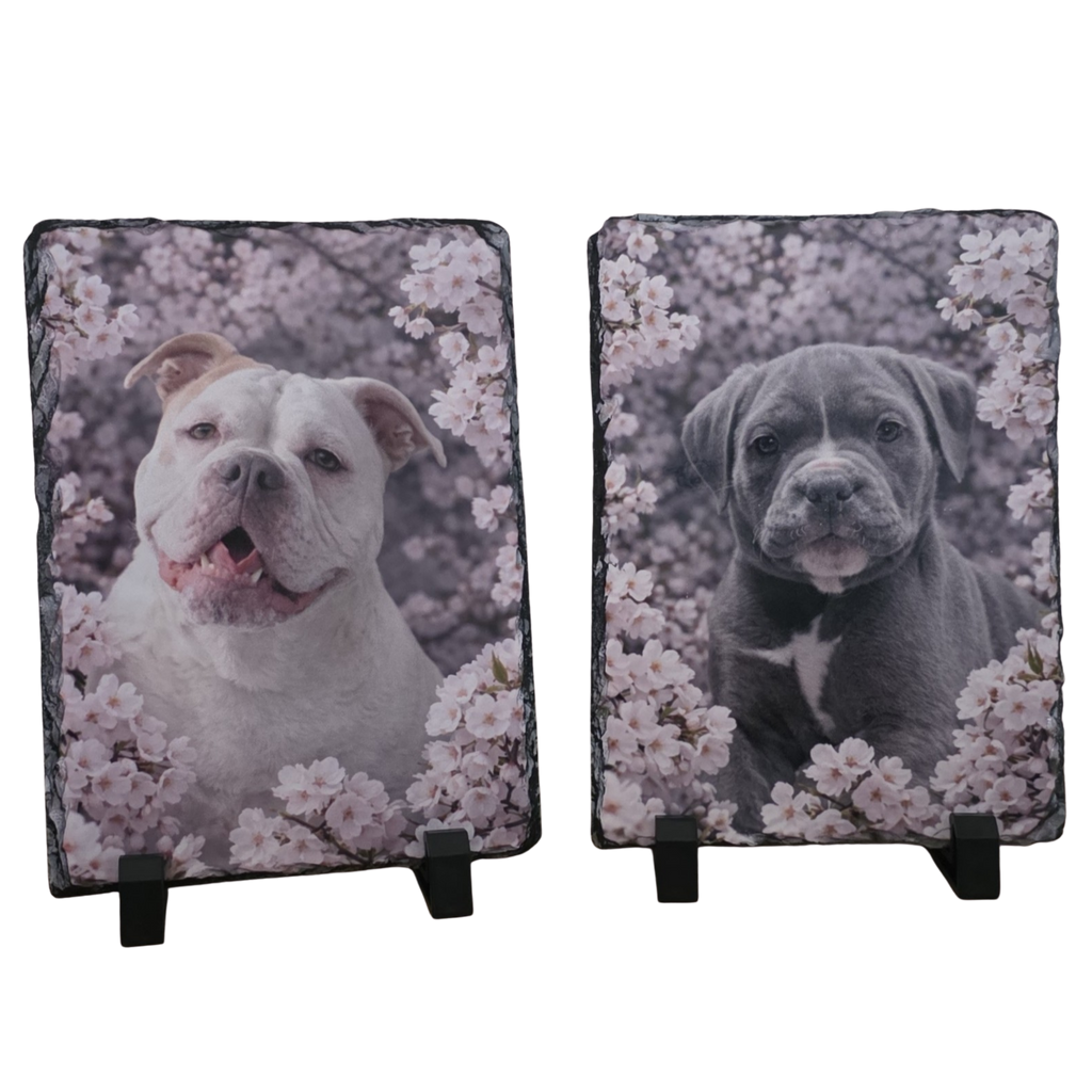 Foto op Leisteen 15x20