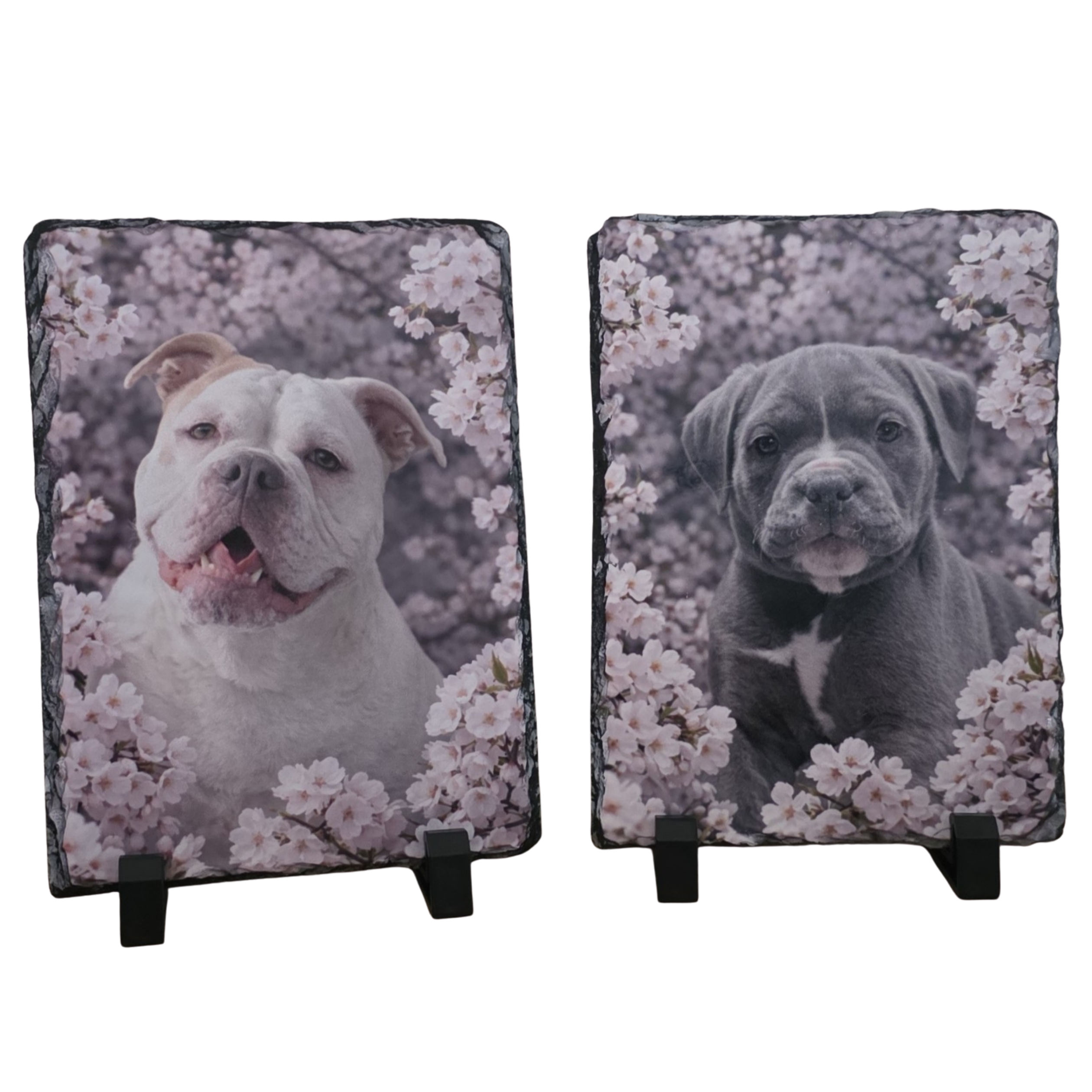 Foto op Leisteen 15x20