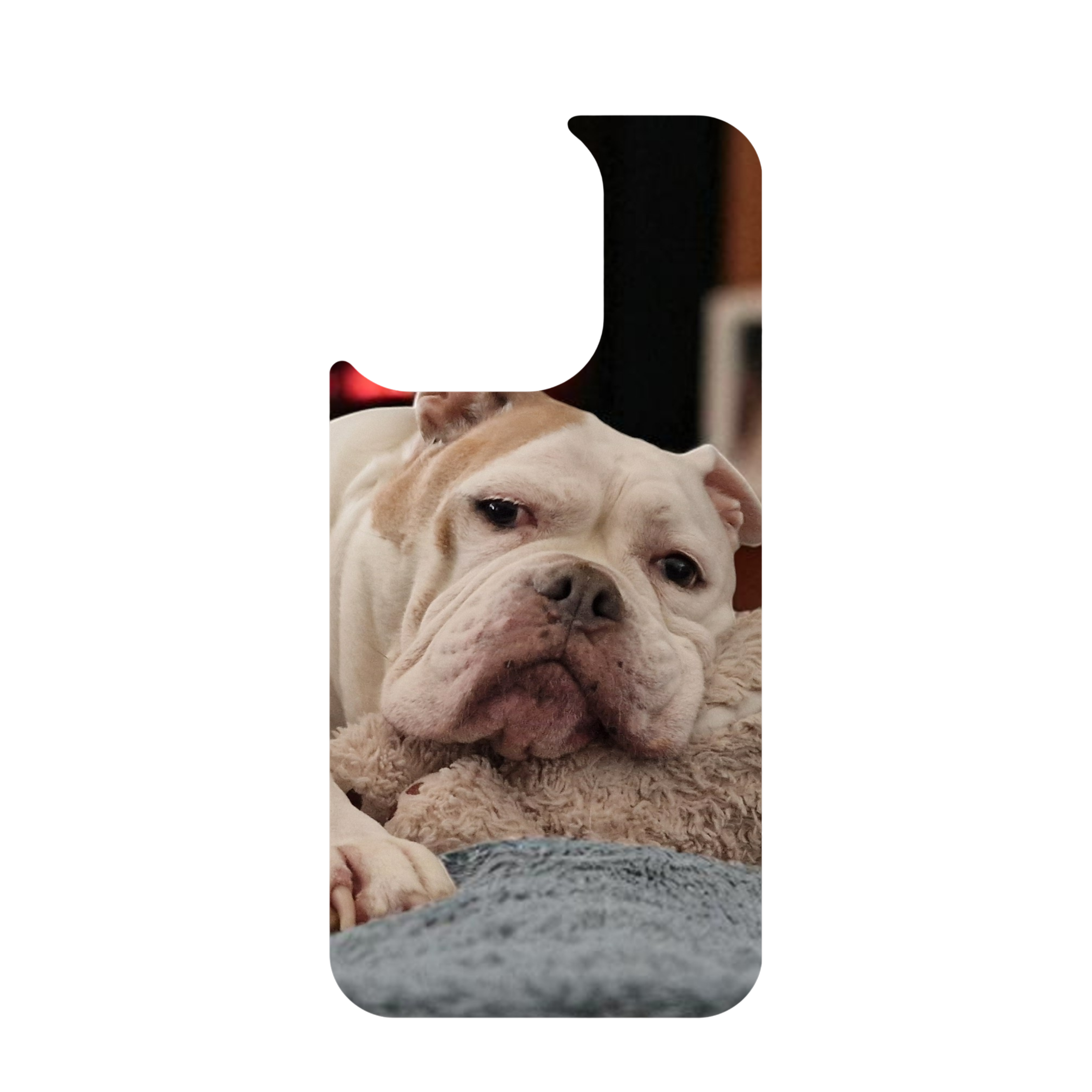 IPhone Telefoonhoesje met eigen foto