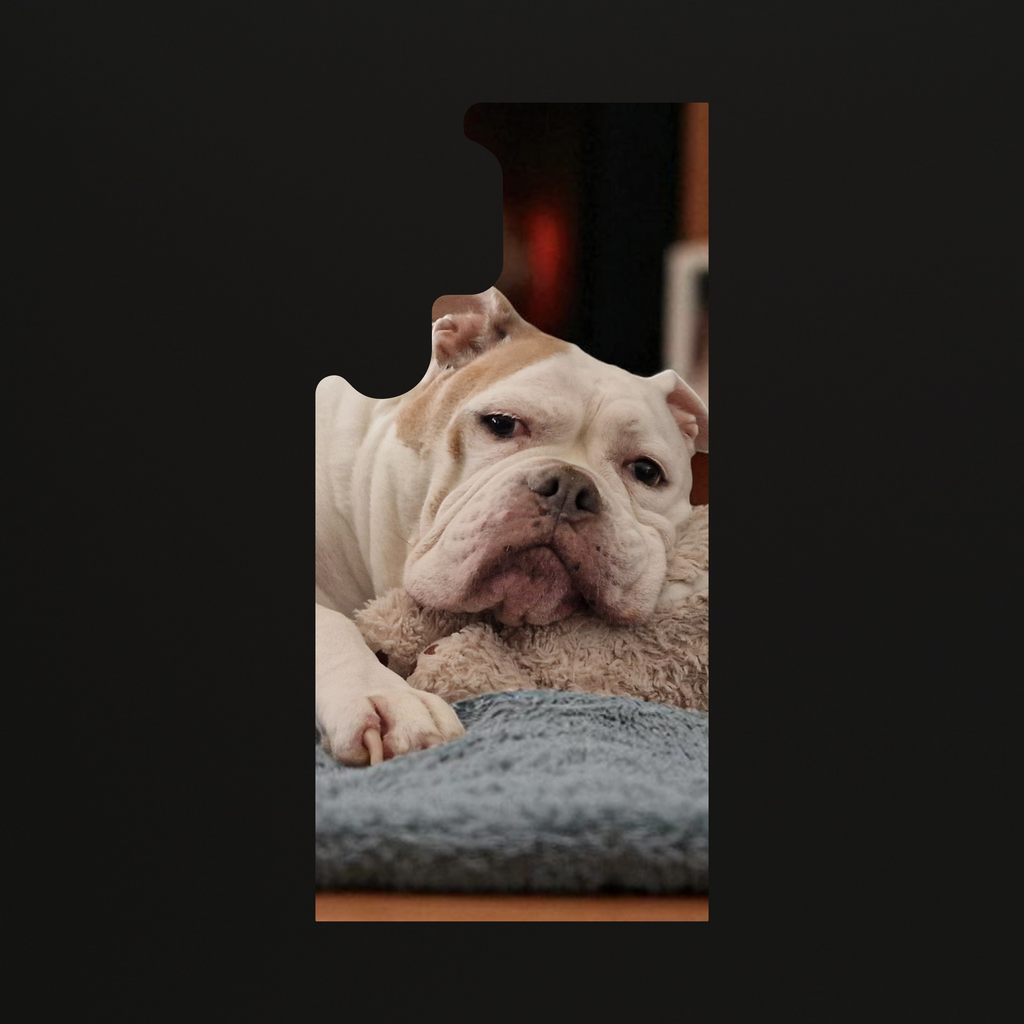 Samsung Telefoonhoesje met eigen foto