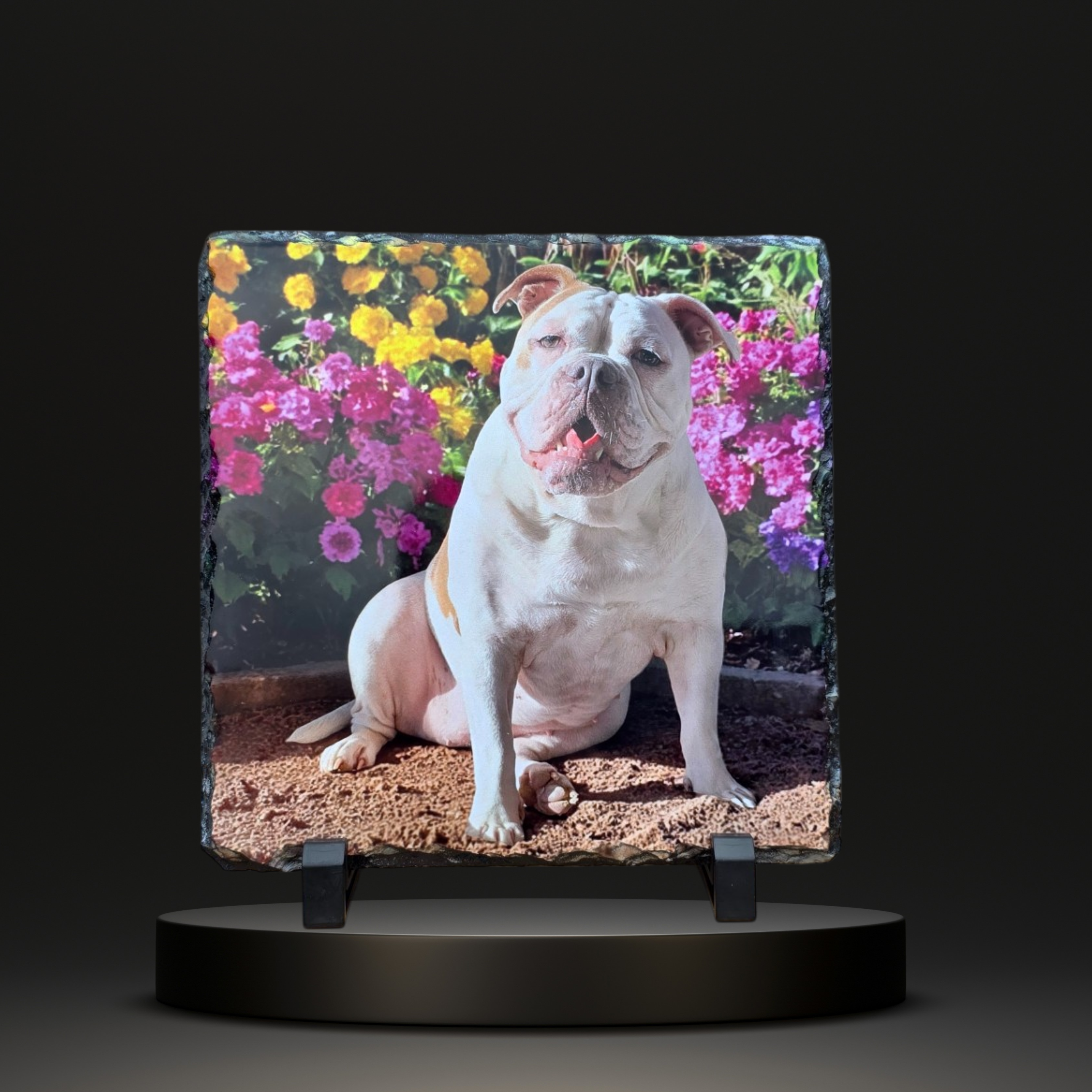 Foto op Leisteen 20x20