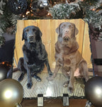 Foto op Leisteen 20x20
